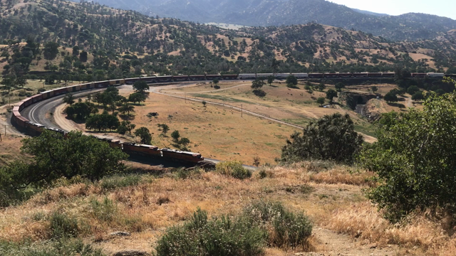 アメリカ西海岸の記事動画