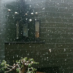 雪(*_*;の画像