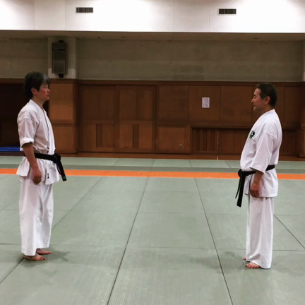 顔面突き 正面入り身投げ (蹴り極め) 動画の記事動画