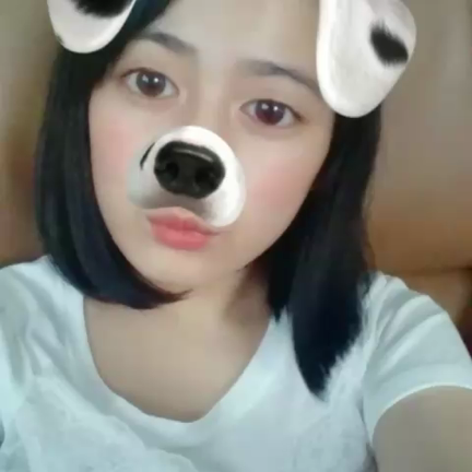 今日はいちにち。の記事動画