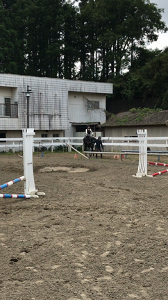一眼で馬撮りの記事動画