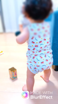 【11m9d】歩くムービー＆1歳の誕生日でやりたいことリストの記事動画