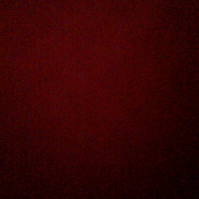 11m24d ♡言葉の器は小皿だった！の画像
