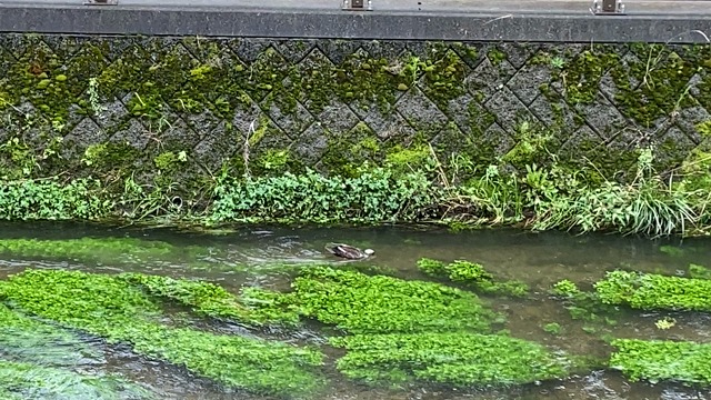 どうしても調子の出ない時の記事動画
