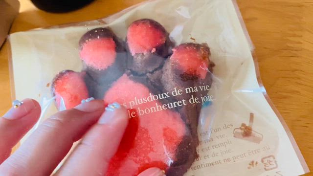 猫のニャーは癒しですの記事動画