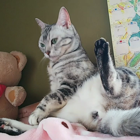 はなのセク スィ～❤️ペロペロ(笑)の画像