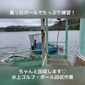 ボール回収作業の画像