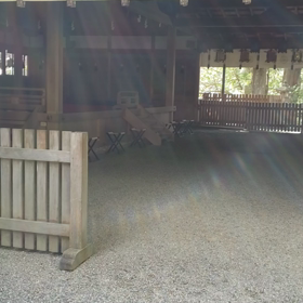 (ミスしてまして)再動画で龍さまの画像