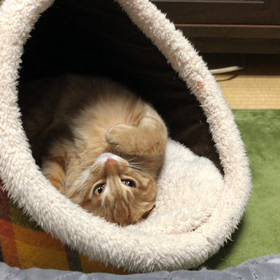 2月朔日！！！の画像