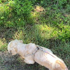 清々しい朝の画像