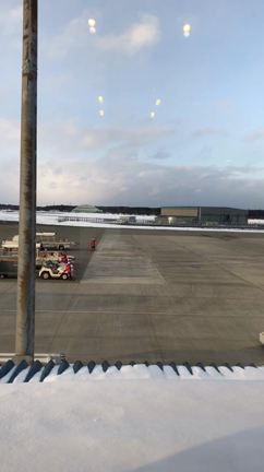 JAL地方創生？な旅最終編の記事動画