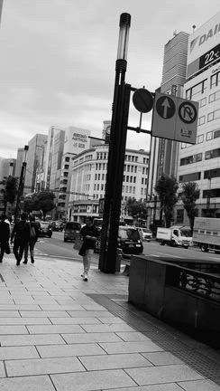ファンミでの共演の記事動画