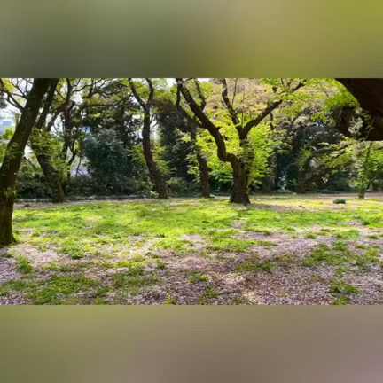 東京都の医療的ケア児者の停電・災害対応まとめの記事動画