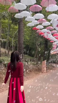☆ムーミンの物語の世界へ♡アンブレラスカイ☆の記事動画
