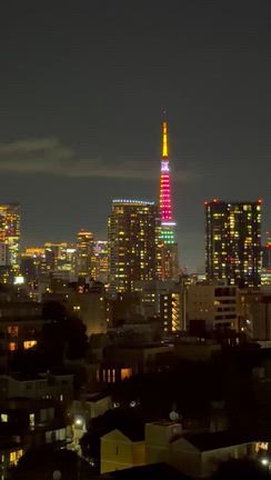 ☆東京タワーWBC特別ライトアップ☆の記事動画