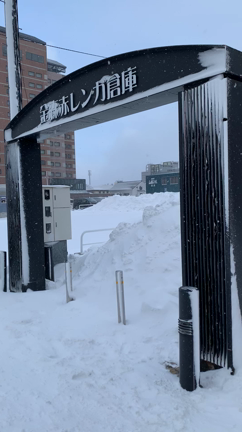 ☆函館は大雪でした☆の記事動画