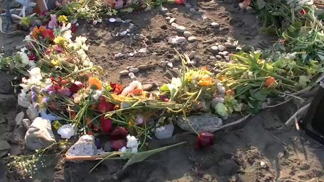 2017 Wish Flower 3.11の記事動画