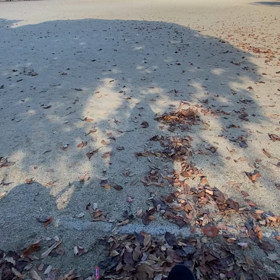 あなたはなにを生きたい？の画像