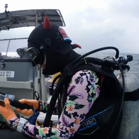沖縄の海に小悪魔現る。の画像