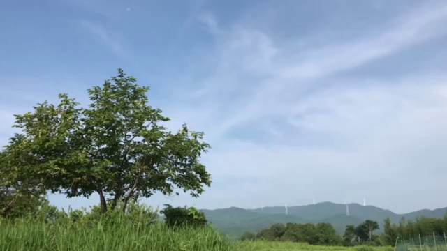 くらしにマヤ暦　KIN134　許すことがテーマの日の記事動画