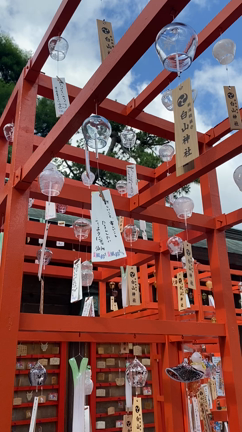 中央区　白山様の風鈴まつり（最終日）と蓮の花の記事動画