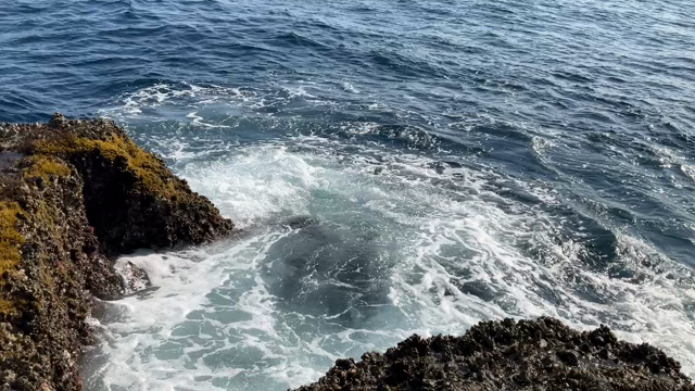 南伊豆で磯釣りの記事動画