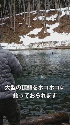 本日の釣果報告ですの記事動画
