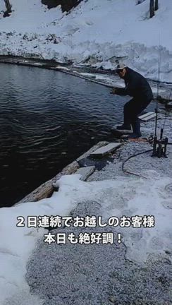 本日の釣果報告ですの記事動画