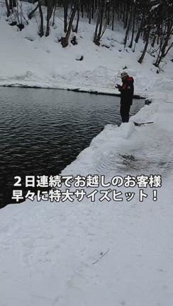 本日の釣果報告ですの記事動画