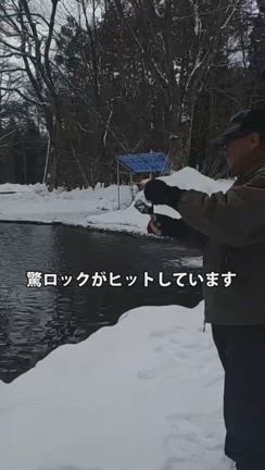本日の釣果報告ですの記事動画