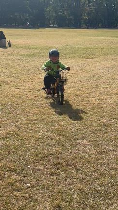 私の遺伝子じゃなくて良かったの記事動画