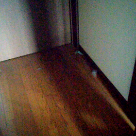 可愛いねぇ(笑)の画像