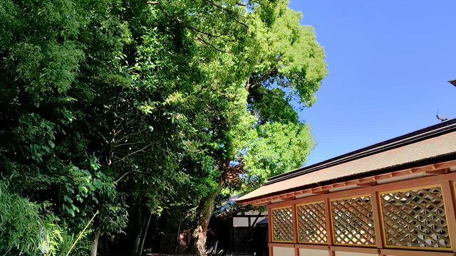 参拝と歓迎の記事動画