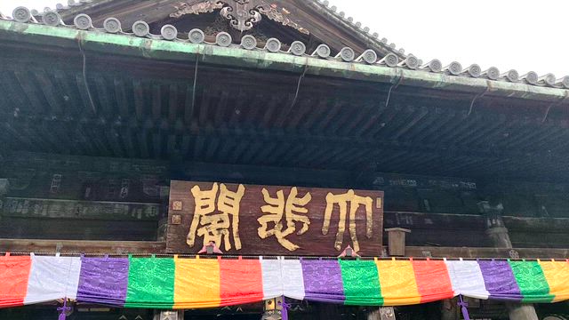 長谷寺　開山1300年記念だそうでの記事動画