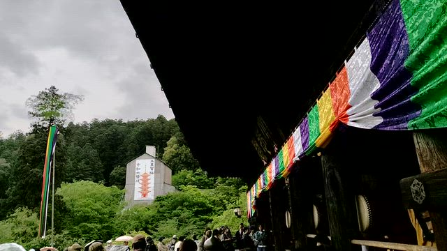 長谷寺　開山1300年記念だそうでの記事動画