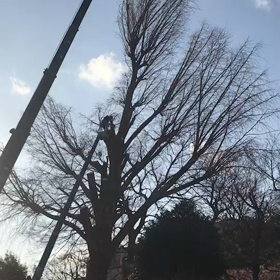 親方がびっくりしたマシンのパワーの画像