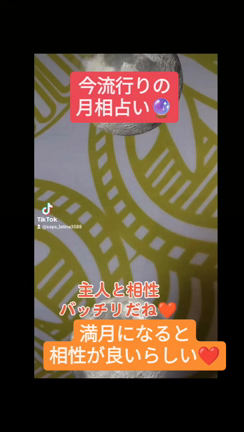 恋のタイプは、月で決まる？月相占い❤の記事動画