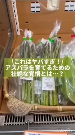 今の旬がまるわかり♪ 今月のおすすめ野菜・商品のご紹介〜5月編〜の記事動画