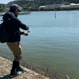 釣れてるけど、釣れてるけどね。の画像