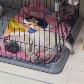 勘違いの画像