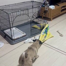 そうだ、チーズがあったの画像