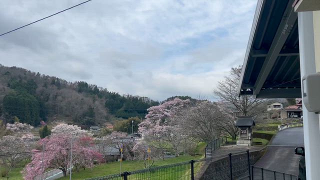 いよいよです！の記事動画