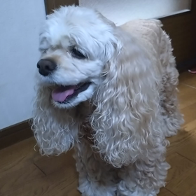 何を言ってもキレる。の画像
