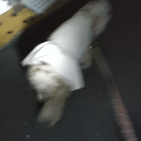穴。の画像