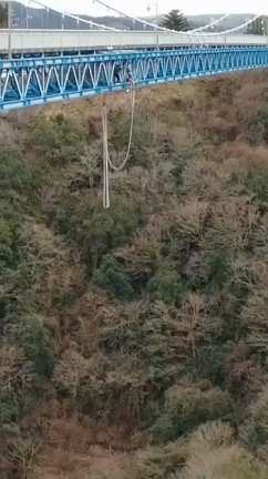 坊主頭でバンジージャンプの記事動画