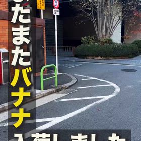 バナナの画像