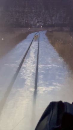 花咲線での夕暮れと朝陽を楽しむの記事動画