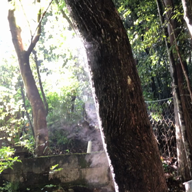 九頭竜大社で不思議な⁈〜の動画の画像