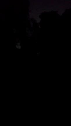 ホタルだの記事動画