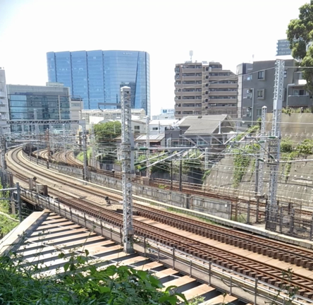 黄色い写真で肉腫啓発の記事動画